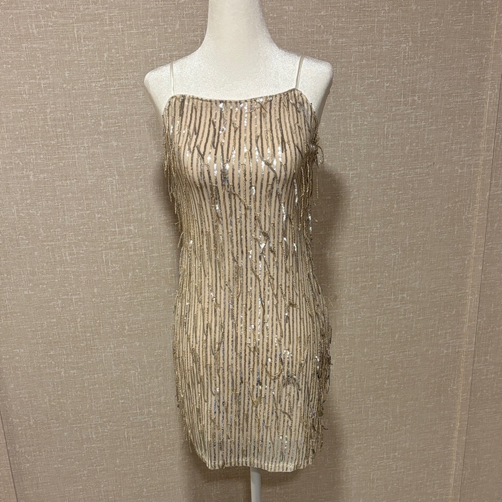 Trixxi Champagne Sequin Fringe Slip Mini Dress